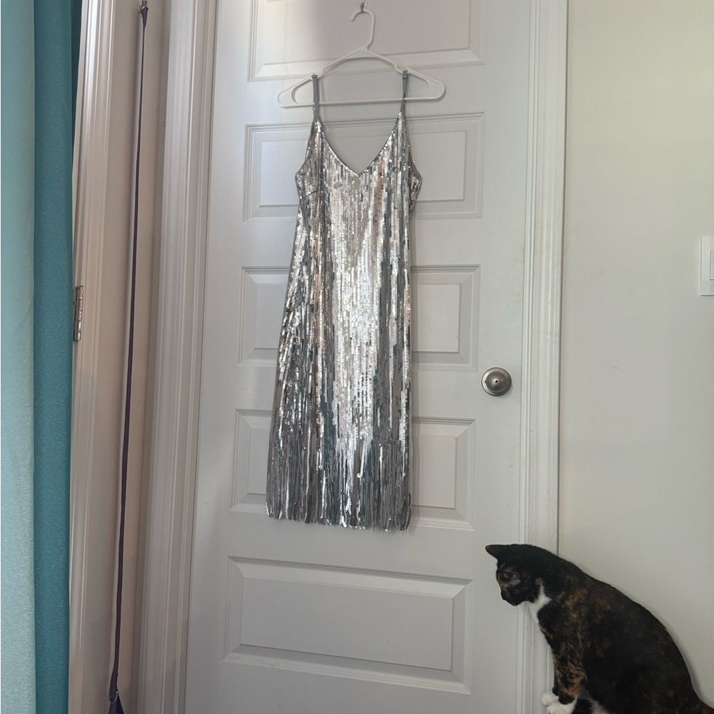 Silver Sequin Dress